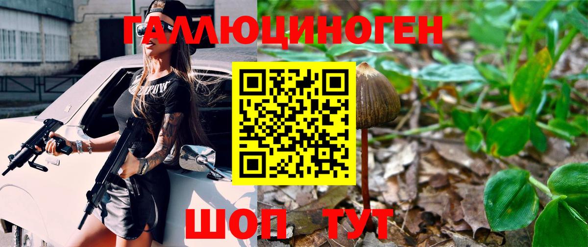 Галлюциногенные грибы Psilocybine cubensis  Вход с VPN  Гусиноозёрск 
