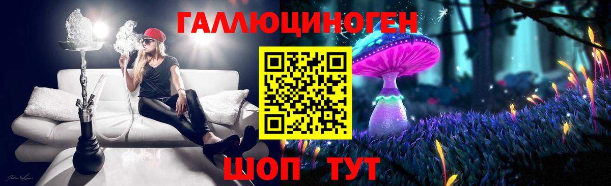 Галлюциногенные грибы Гусиноозёрск